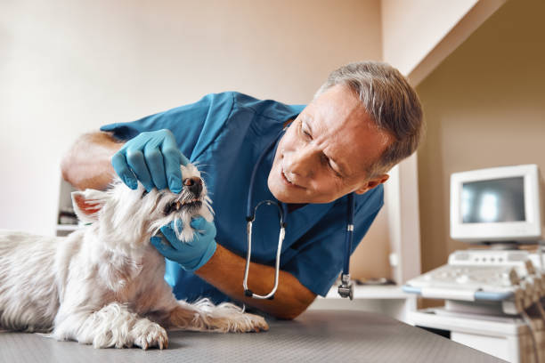 Best Emergency Tooth Extraction in Parsons, TN
